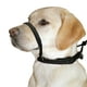 Sporn Head Control Dog Chien Marche Halter – image 5 sur 7