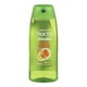 Shampoing fortifiant Sleek & Shine Fructis de Garnier – image 1 sur 1