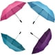 Parapluie avec ouverture automatique pour 2 personnes avec toile de 56 po de Weather Station – image 1 sur 6
