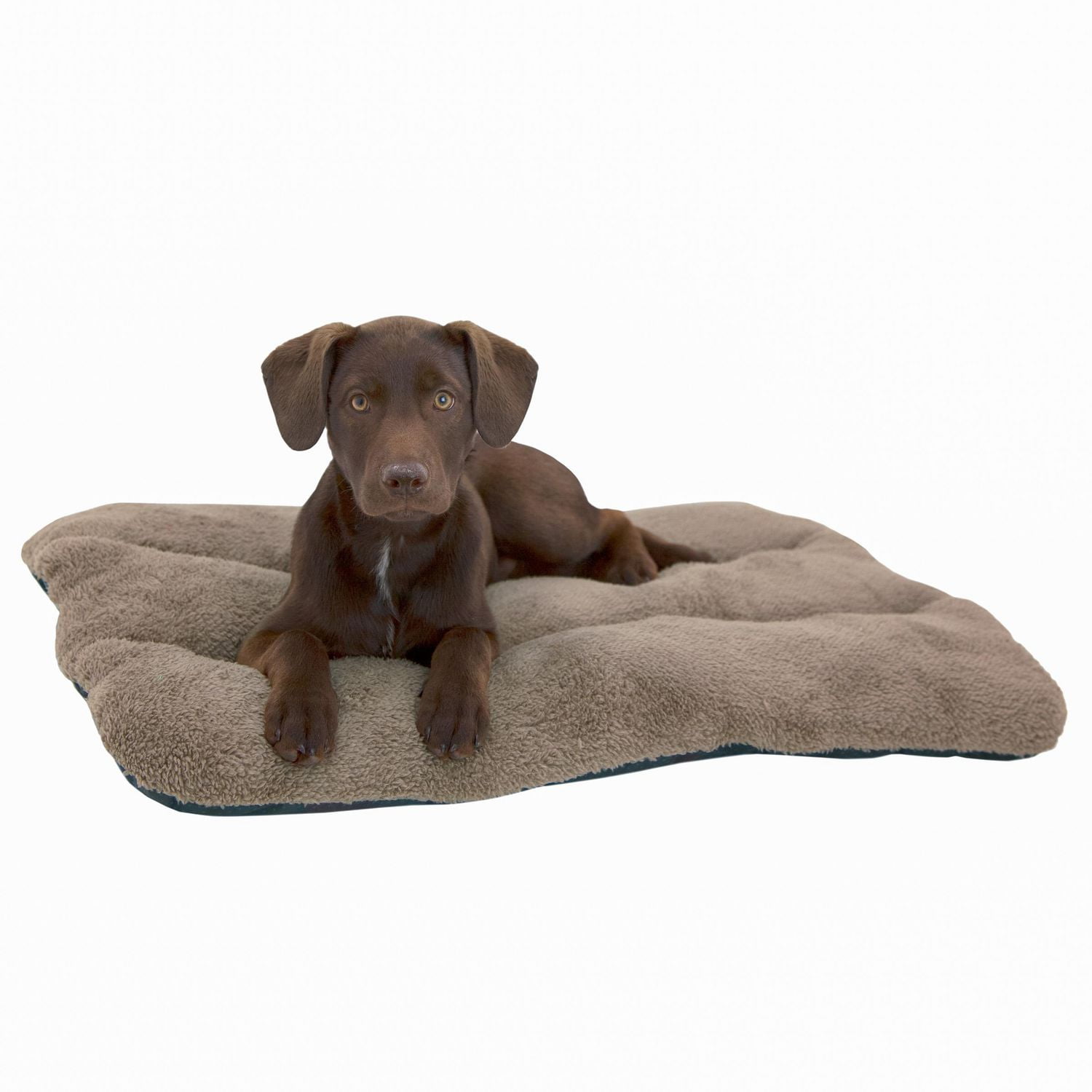 Pet beds hotsell walmart canada