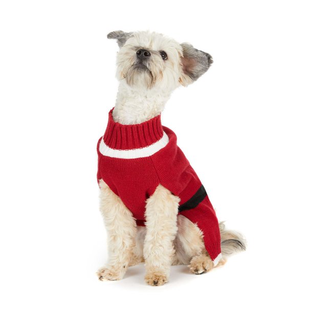 Mock Neck Santa Sweater for Dogs - Walmart.ca