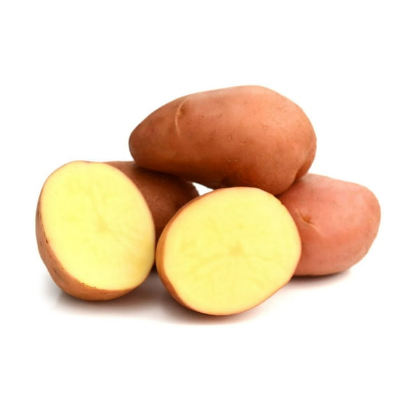 pomme de terre peau rouge chair jaune