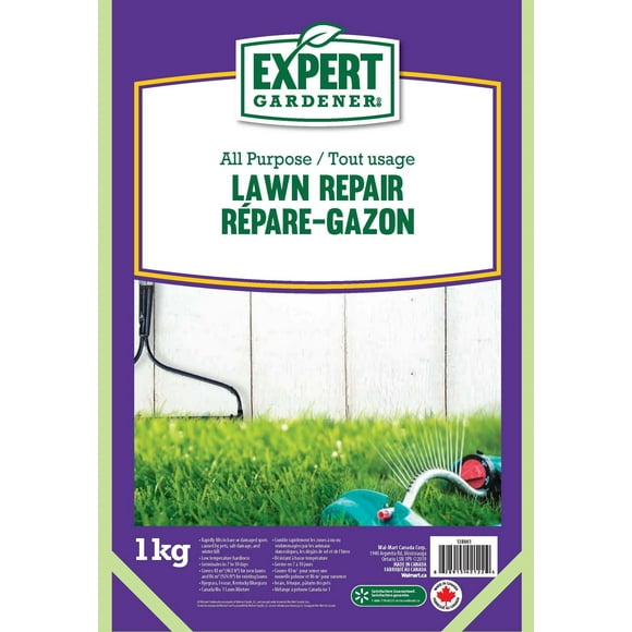 Expert Lawn Repair
