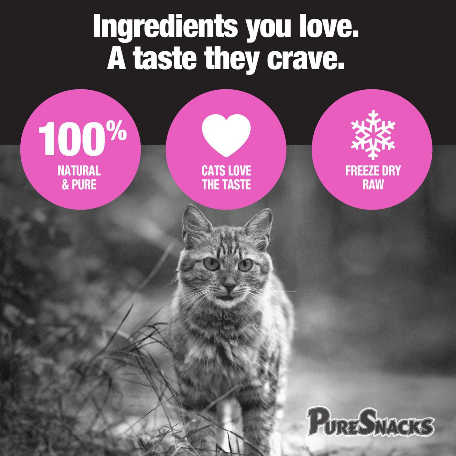 Crave cat food outlet ingredients