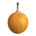 thumbnail image 1 of Passionfruit, Granadilla, Sold in singles, 1 of 1