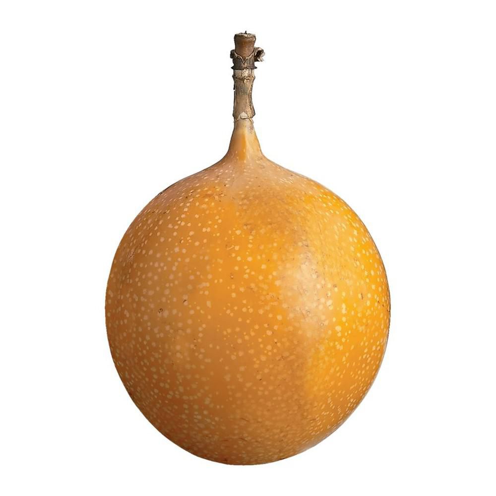 Passionfruit, Granadilla, Sold in singles