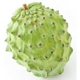 thumbnail image 1 of Atemoya, Sold in singles, 1 of 1