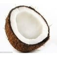 thumbnail image 1 of Coconut, Indian, 1 of 1