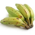 thumbnail image 1 of Banana Burro, 1 of 1