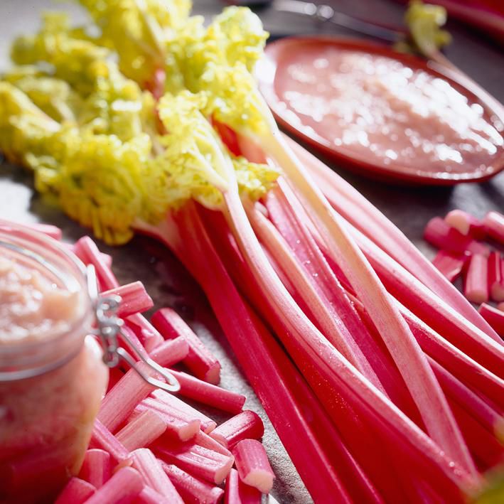 Rhubarb -Victoria (1 Count) 