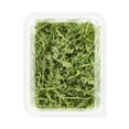 thumbnail image 2 of Jeune Roquette 142g, 2 of 2