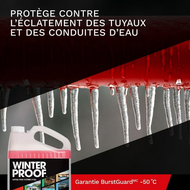 WinterProof, Antigel non toxique pour systèmes d’eau avec protection  BurstGuard, 3,78 L