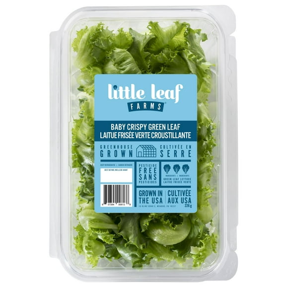 Little Leaf Farms Baby Crispy Green Leaf, Baby Crispy Green Leaf Lettuce 226g
