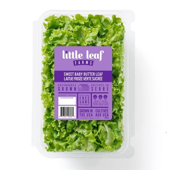 Little Leaf Farms Feuille de beurre sucré pour bébé Laitue feuille beurre Sweet Baby 226g