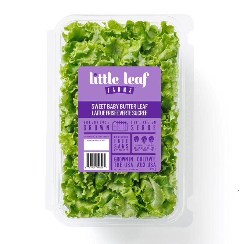 Little Leaf Farms Sweet Baby Butter Leaf
