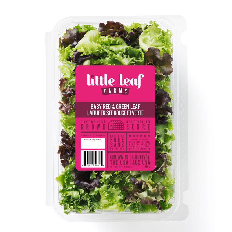 Little Leaf Farms Baby Red & Green Leaf, Baby Red & Green Leaf Lettuce 226g