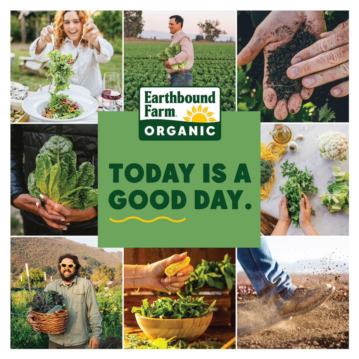 Biologique Jeunes Epinards 142g