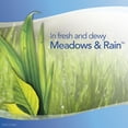 thumbnail image 4 of Febreze Air Effects Meadows & Rain Air Freshener, 4 of 7
