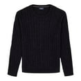 thumbnail image 4 of IZOD CREWNECK POPOVER, 4 of 4