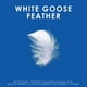 Canadian Down & Feather Company Oreiller Matelasse en Plume D'Oie Blanche Avec Soutien Doux – image 4 sur 8