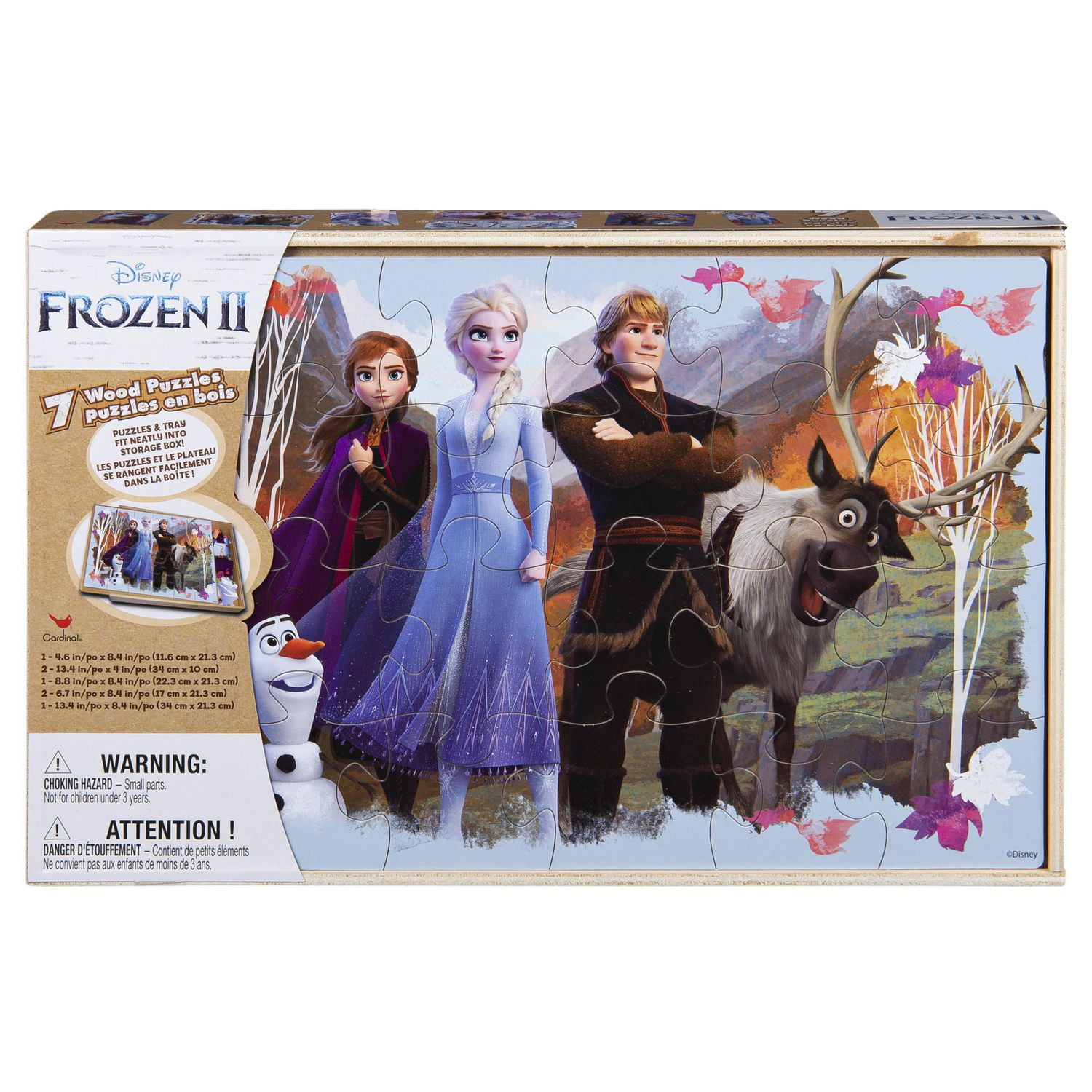 frozen wooden puzzle set