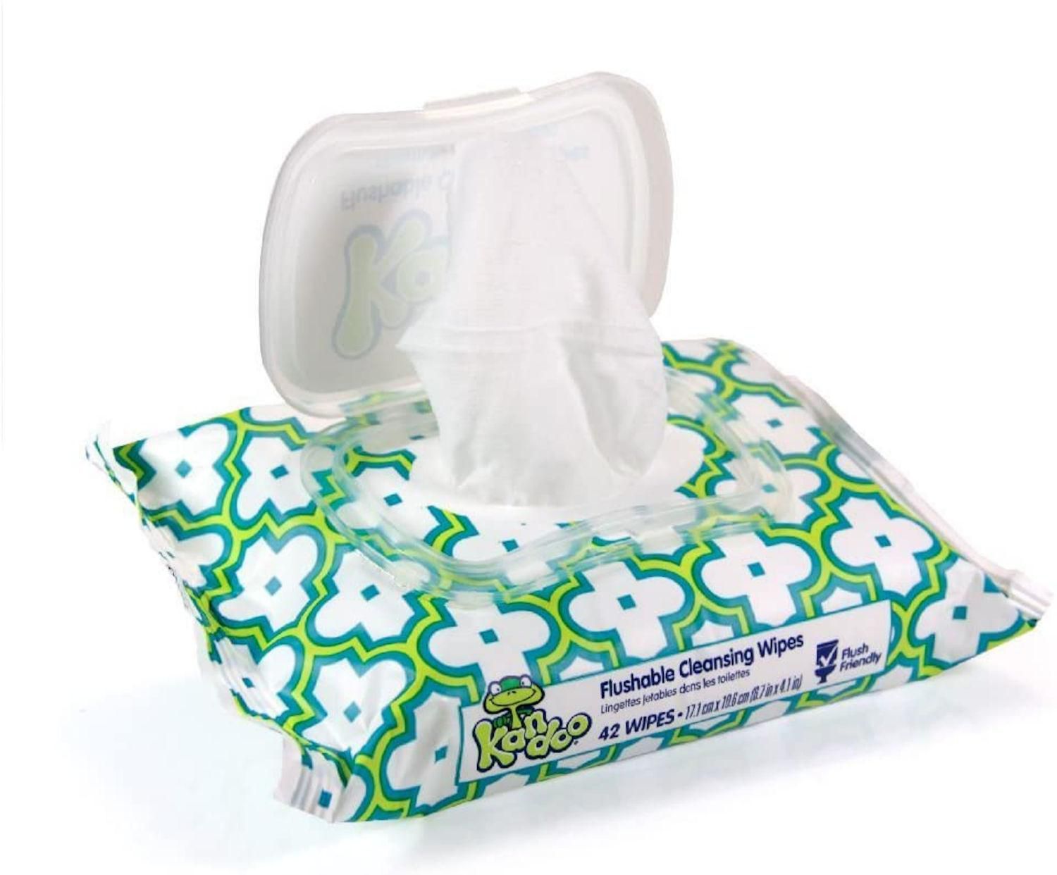 Kandoo® Kids Flushable Sensitive Cleansing Wipes Soft Pack, 42 ct