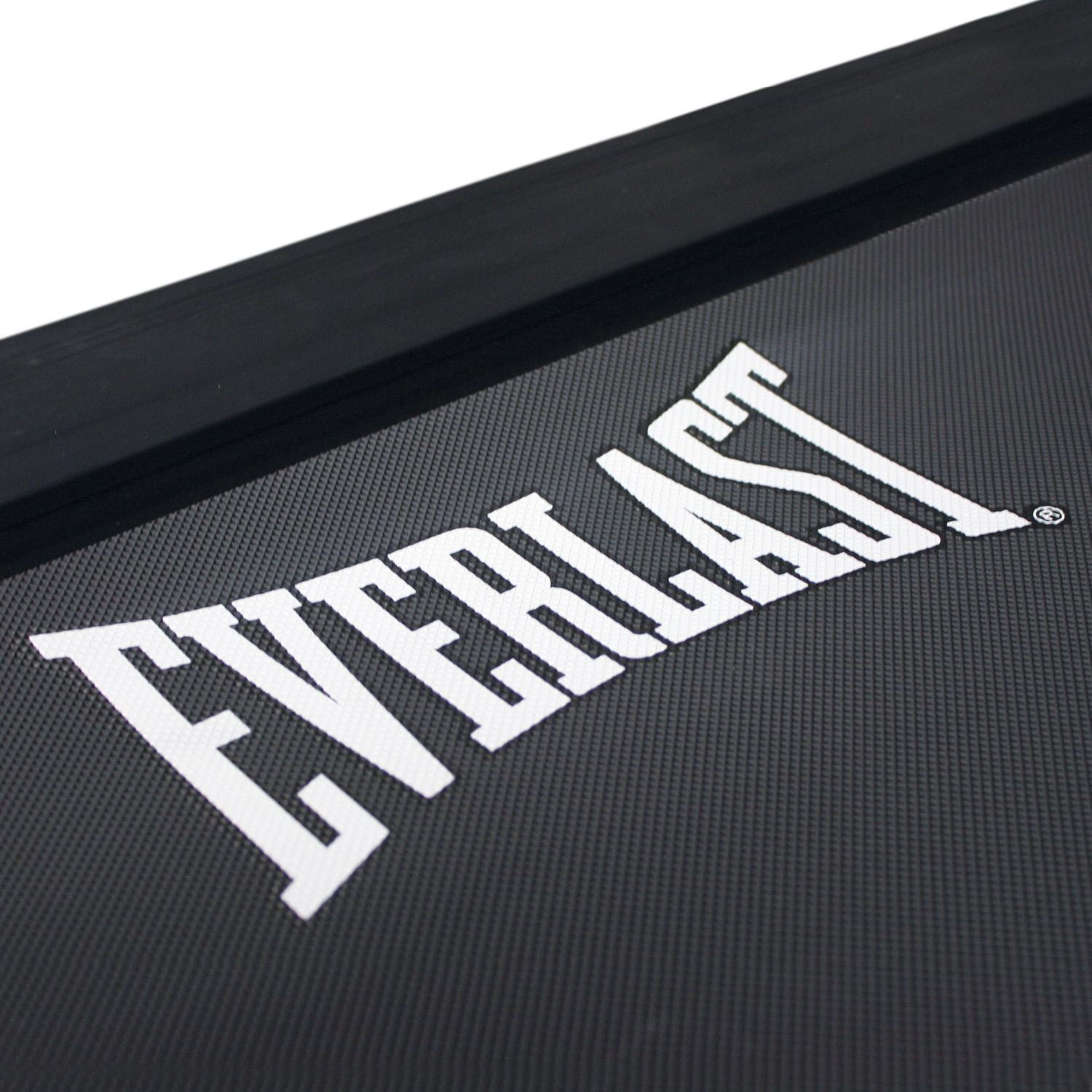 Everlast ev651 2025