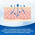 thumbnail image 5 of Dermal Therapy™ Extra Strength Body Lotion, 5 of 5