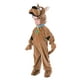 Costume Scooby Doo De Luxe – image 1 sur 2