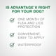 Advantage II traitement contre les puces pour chiens de grande taille – image 5 sur 7