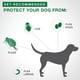 Advantage II traitement contre les puces et les poux pour chiens de très grande taille – image 2 sur 7