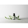 thumbnail image 3 of Ellia Tea Tree Essential Oil, 3 of 3