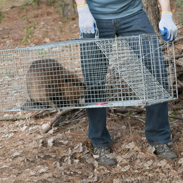 Piège à capture vivante pour petits animaux, 1 porte