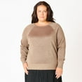 thumbnail image 1 of Devoted Women’s Plus size L/S Raglan Lurex sweater, 1 of 4