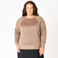 thumbnail image 1 of Devoted Women’s Plus size L/S Raglan Lurex sweater, 1 of 4
