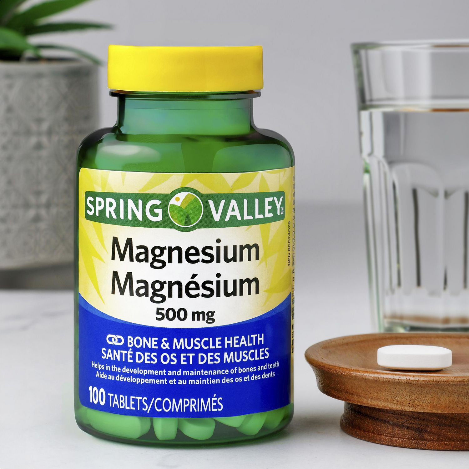 Spring Valley Oxyde de magnésium, 500 mg 100 Comprimés