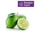 thumbnail image 1 of Lime, Organic, 1 of 1