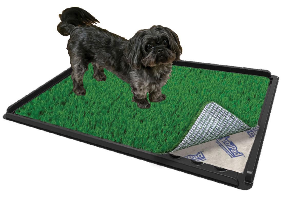 ZorbiPad Connectable Indoor Grass Pad Dog Potty System 16 x 24 Walmart