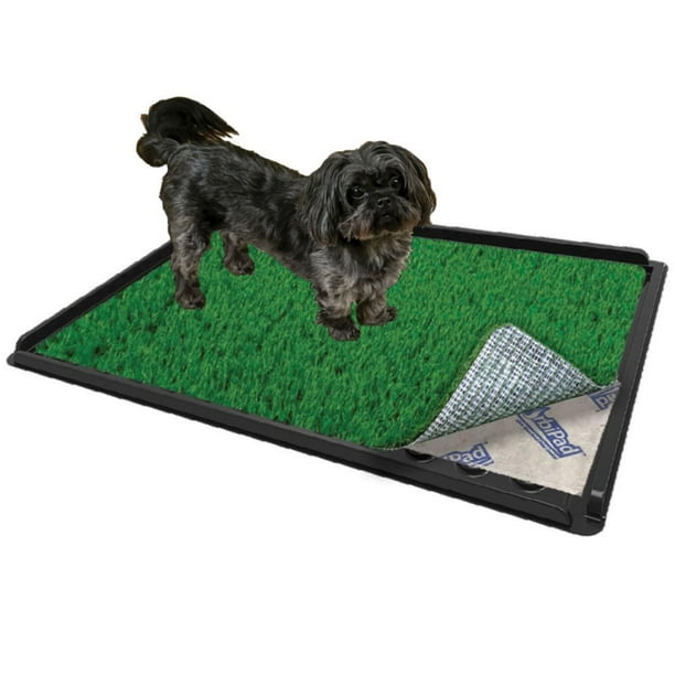 ZorbiPad Connectable Indoor Grass & Pad Dog Potty System, 16 x 24 