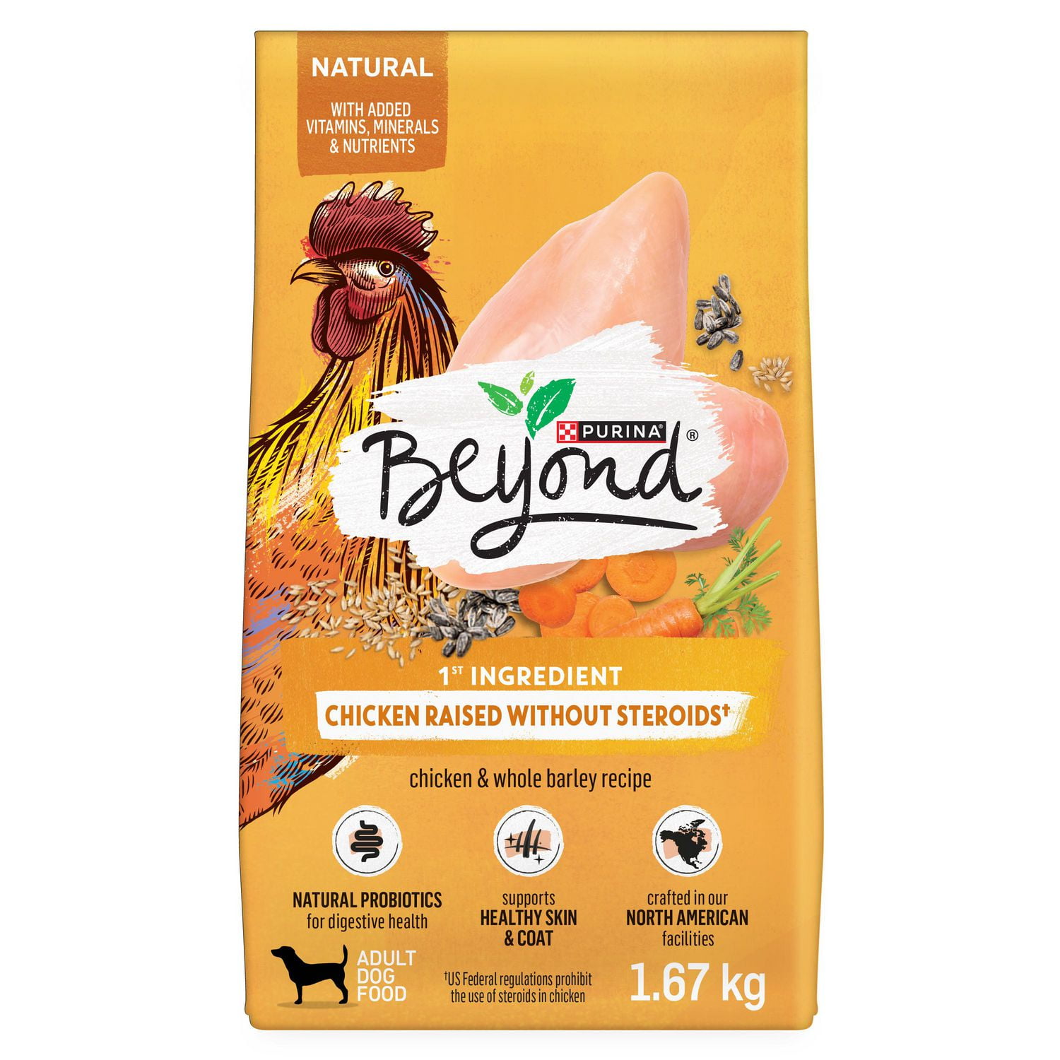 Beyond Simply 9 Natural Dry Dog Food, White Meat Chicken & Whole Barley ...