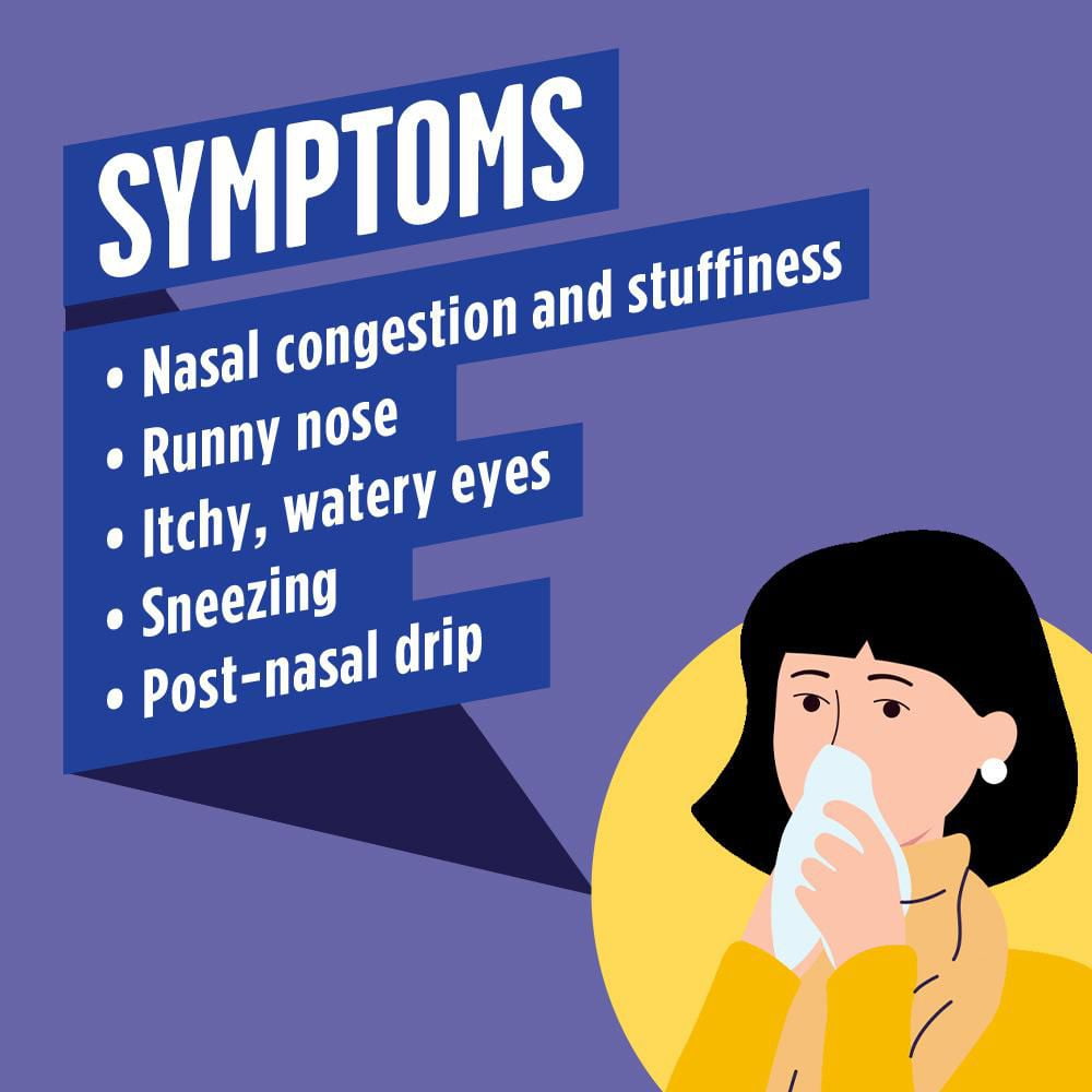 Reactine Rapid Dissolve Extra Strength Tablets - For Itchy Eyes, Hives, Runny Nose - 24 Hour Allergy Relief, 24 Count