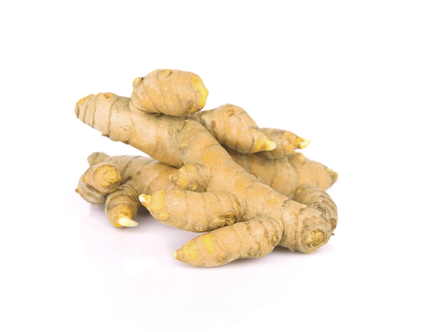 Curcuma blanc