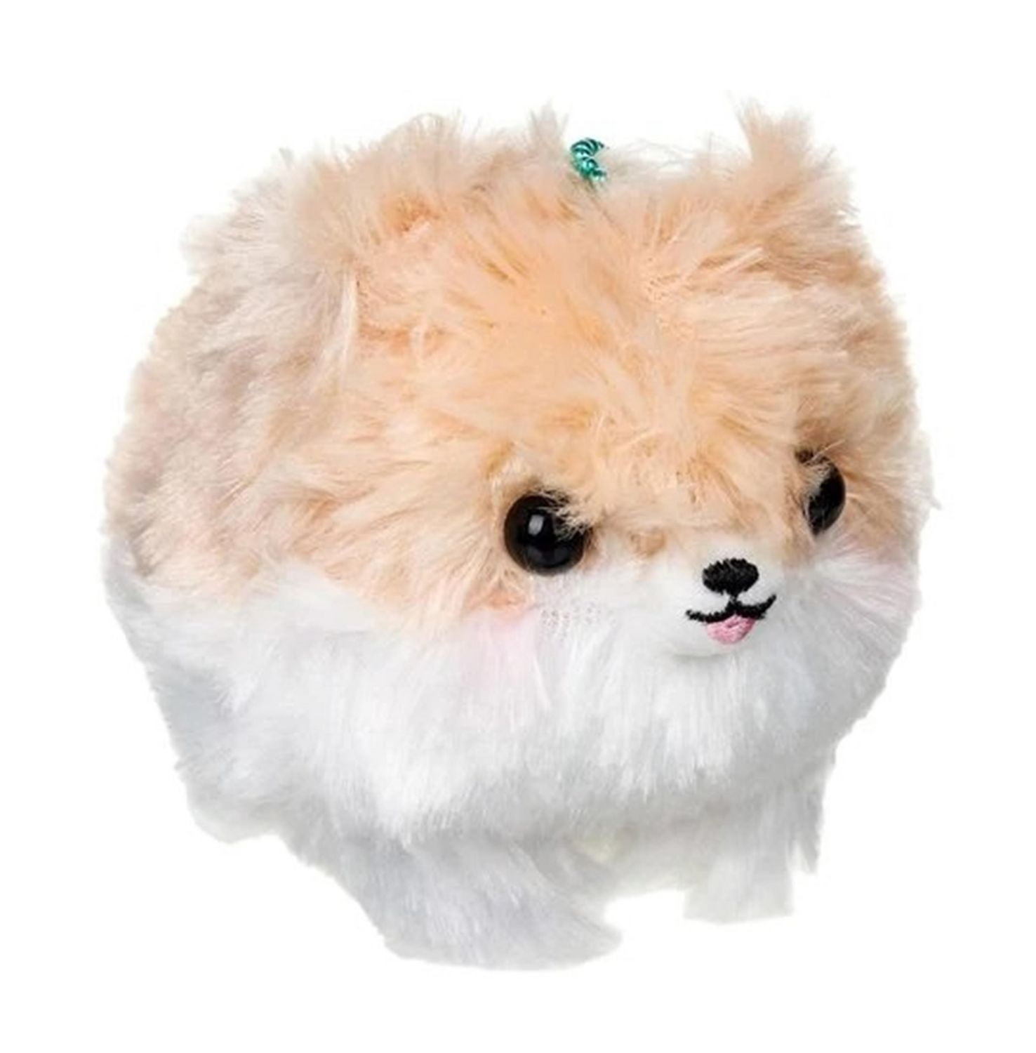 Amuse pomeranian hot sale