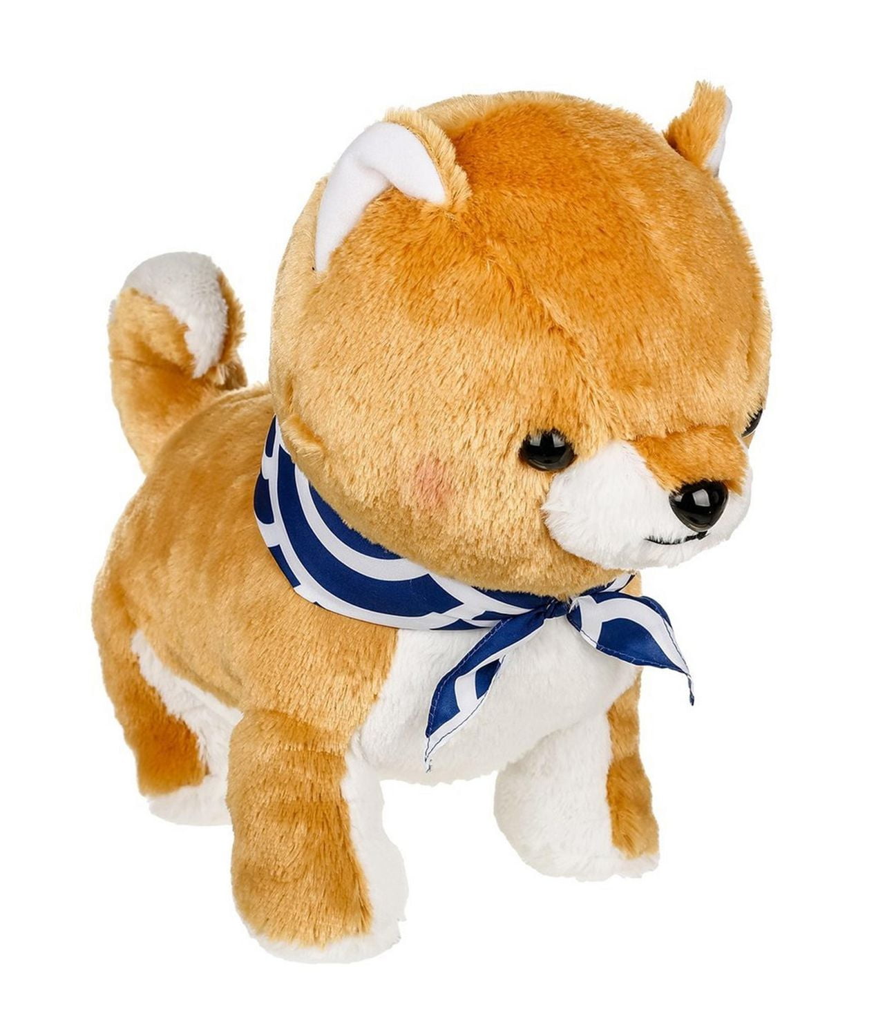 Amuse shiba best sale