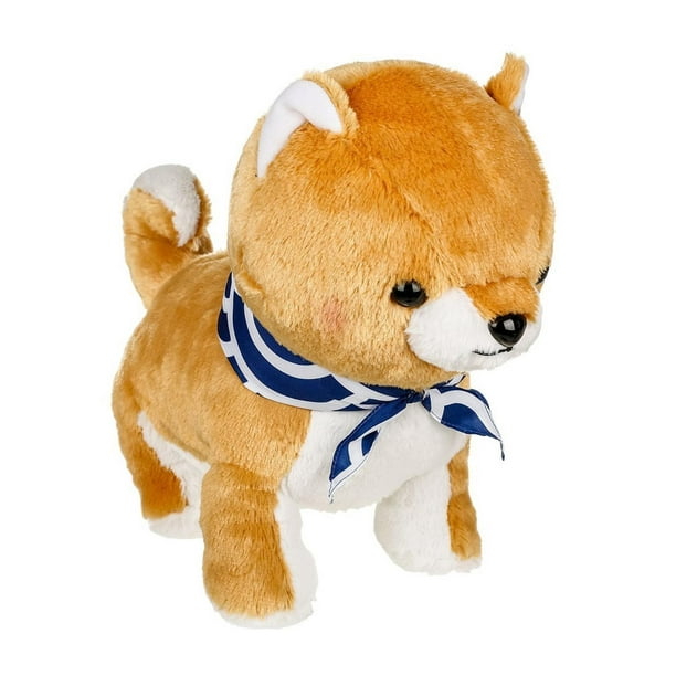 amuse collection shiba