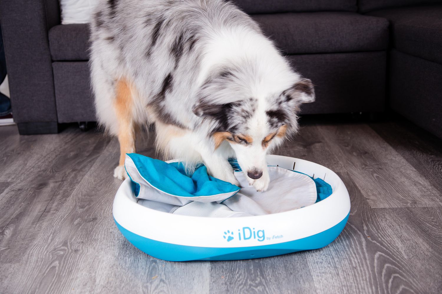 Introducing the iDig: A Digging Toy from iFetch 