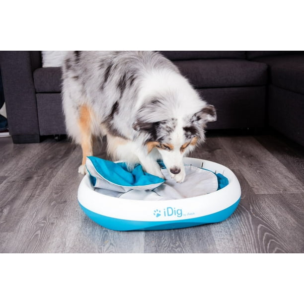 iFetch R-100 iDig Go Digging Toy, IFetch Blue and White, One Size