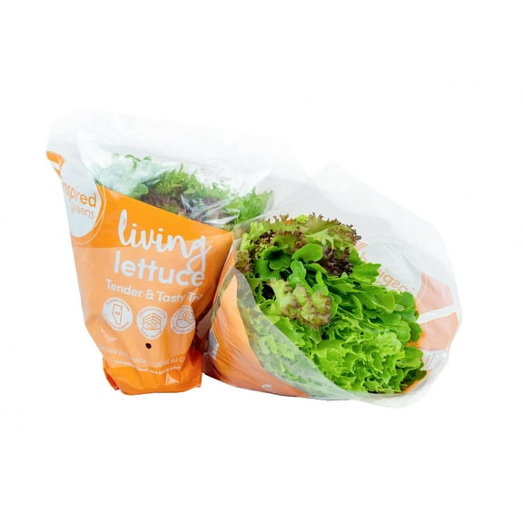 Inspired Greens Living Lettuce Tender & Tasty Trio, Living Lettuce Trio