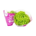 thumbnail image 1 of Inspired Greens Living Lettuce Fresh & Familiar Green, Living Lettuce Green, 1 of 2