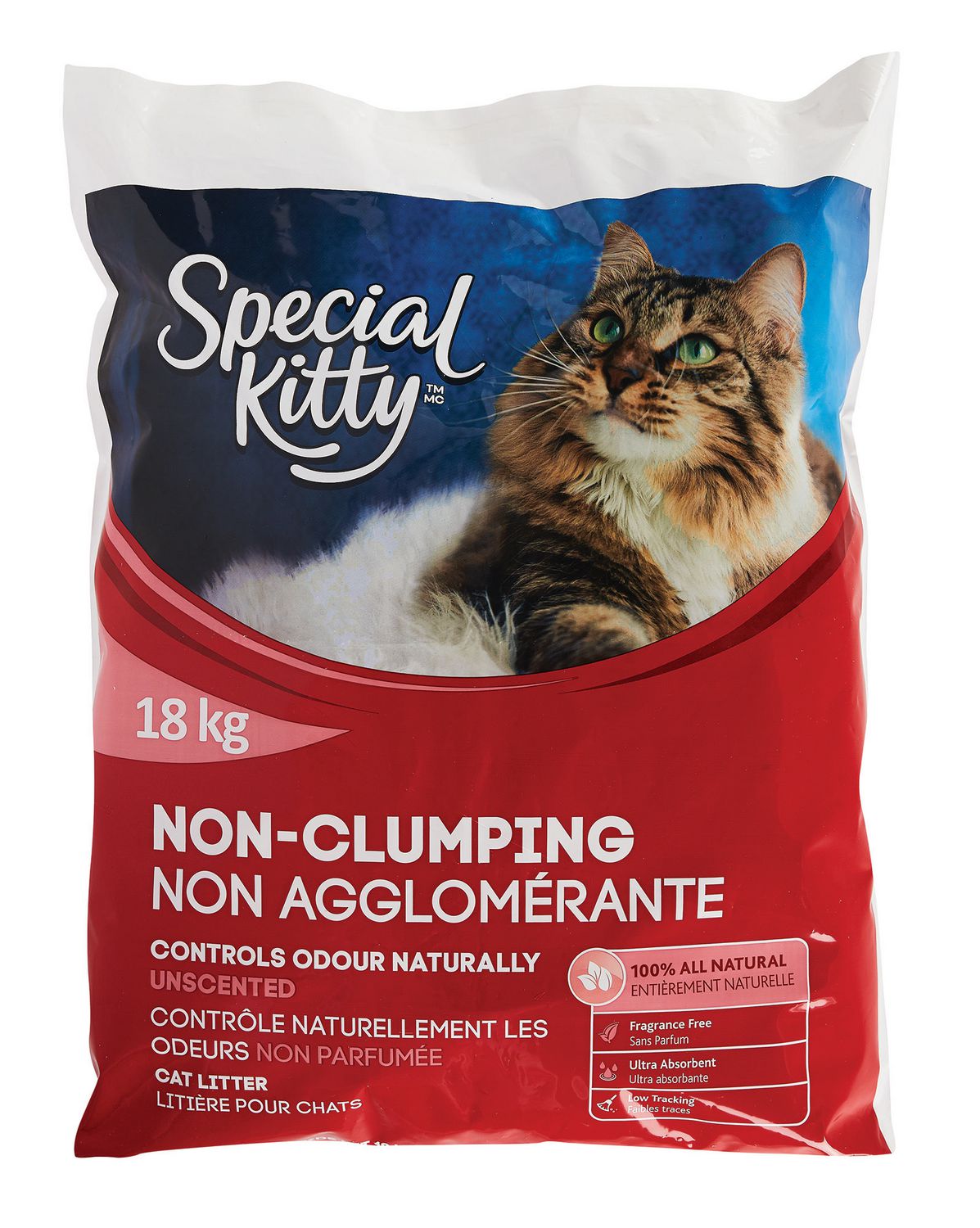 Special Kitty NonClumping Odour Control Unscented CAT Litter Walmart